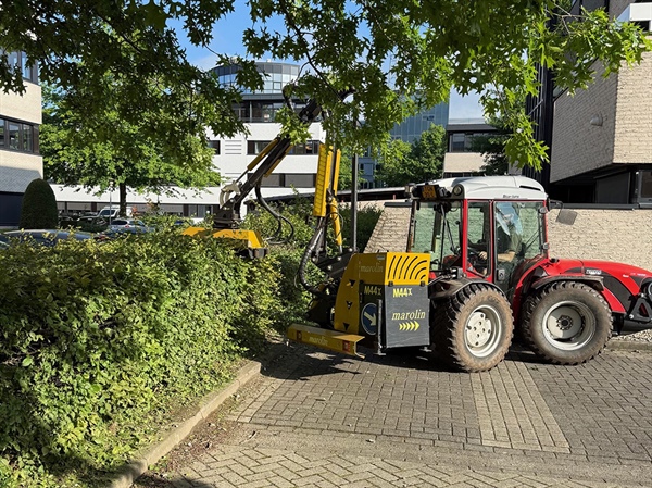 🌿 Strak gesnoeid, professioneel uitgevoerd! 🌿